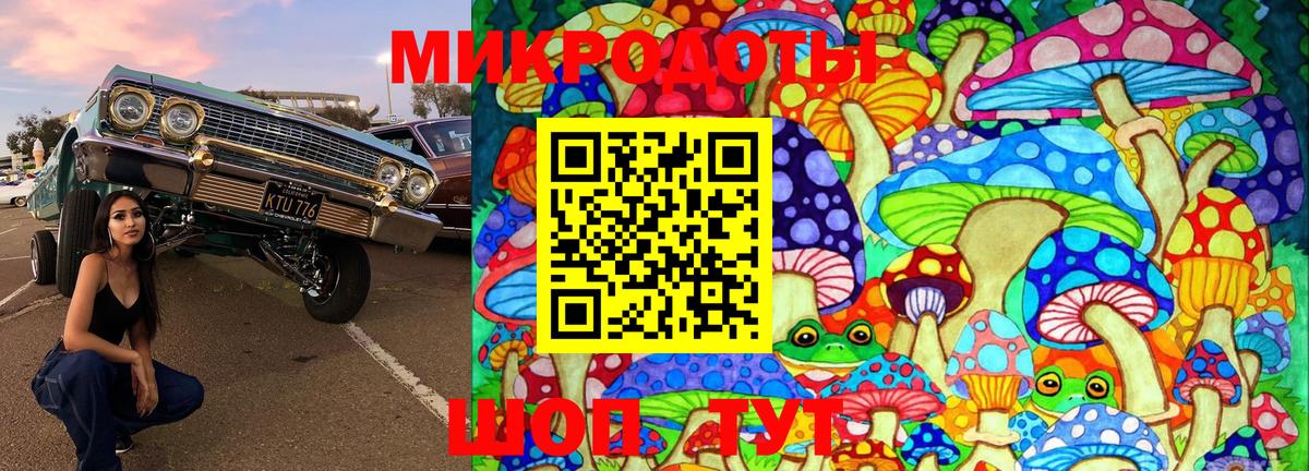Псилоцибиновые грибы прущие грибы Минеральные Воды