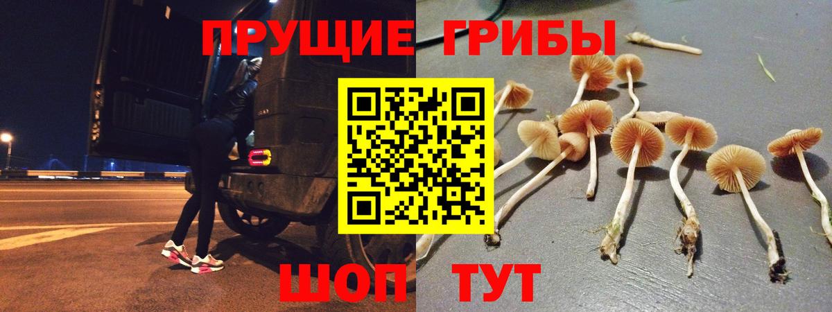 Псилоцибиновые грибы Cubensis  Псилоцибиновые грибы GOLDEN TEACHER  Минеральные Воды  Вход с VPN 